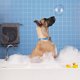 thumbnail image 4 of Toalla para perros, toalla grande súper absorbente para mascotas con bolso, toalla para perros de fibra ultrafina de secado rápido para secar perros, 4 of 5