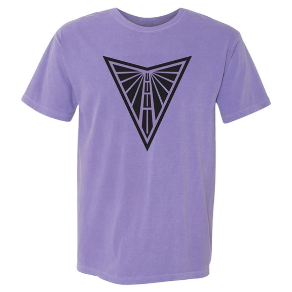 Unisex The Wild Collective Violet Golden State Valkyries Heavy Wash Premium T-Shirt