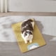 thumbnail image 5 of Estera de hielo para mascotas, estera de hielo resistente a los arañazos, estera para perros, sensación de frío, estera transpirable para mascotas, suministros de verano, 5 of 8