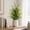 C, variant on Artificial Persian Grass Potted Plant Set,Realistic Decorative Green And Bloom Mix Arrangement,Durable Plastic Simulation Design,Living Room Shelf Fireplace Office Desk Home Accent Decor Piece