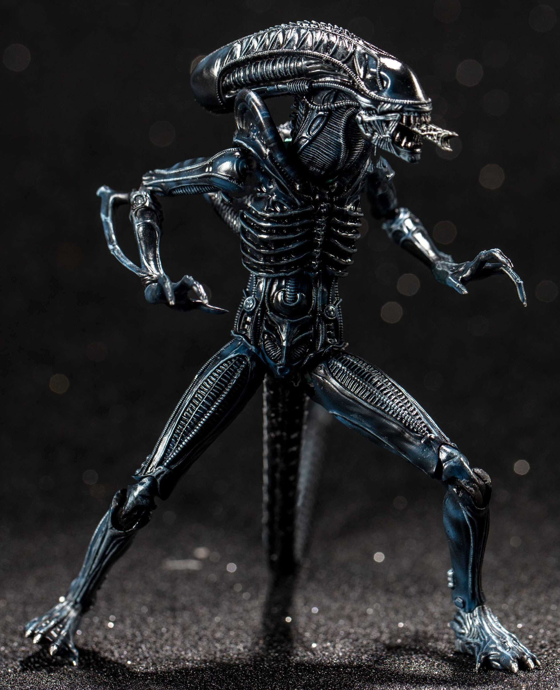◎ ALIENS XENOMORPH WARRIOR （ブルー）検：プレデター Amazon.com: Birsppy Alien Collection Special Edition