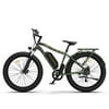 NYASAY AOSTIRMOTOR 26" 750W Camouflage Electric Bike Fat Tire P7 48V 13AH Removable Lithium Battery for Adu