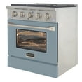 thumbnail image 6 of 30 in. 4.2 cu. ft. Propane Gas Range with Convection Oven in Light Blue, 6 of 12