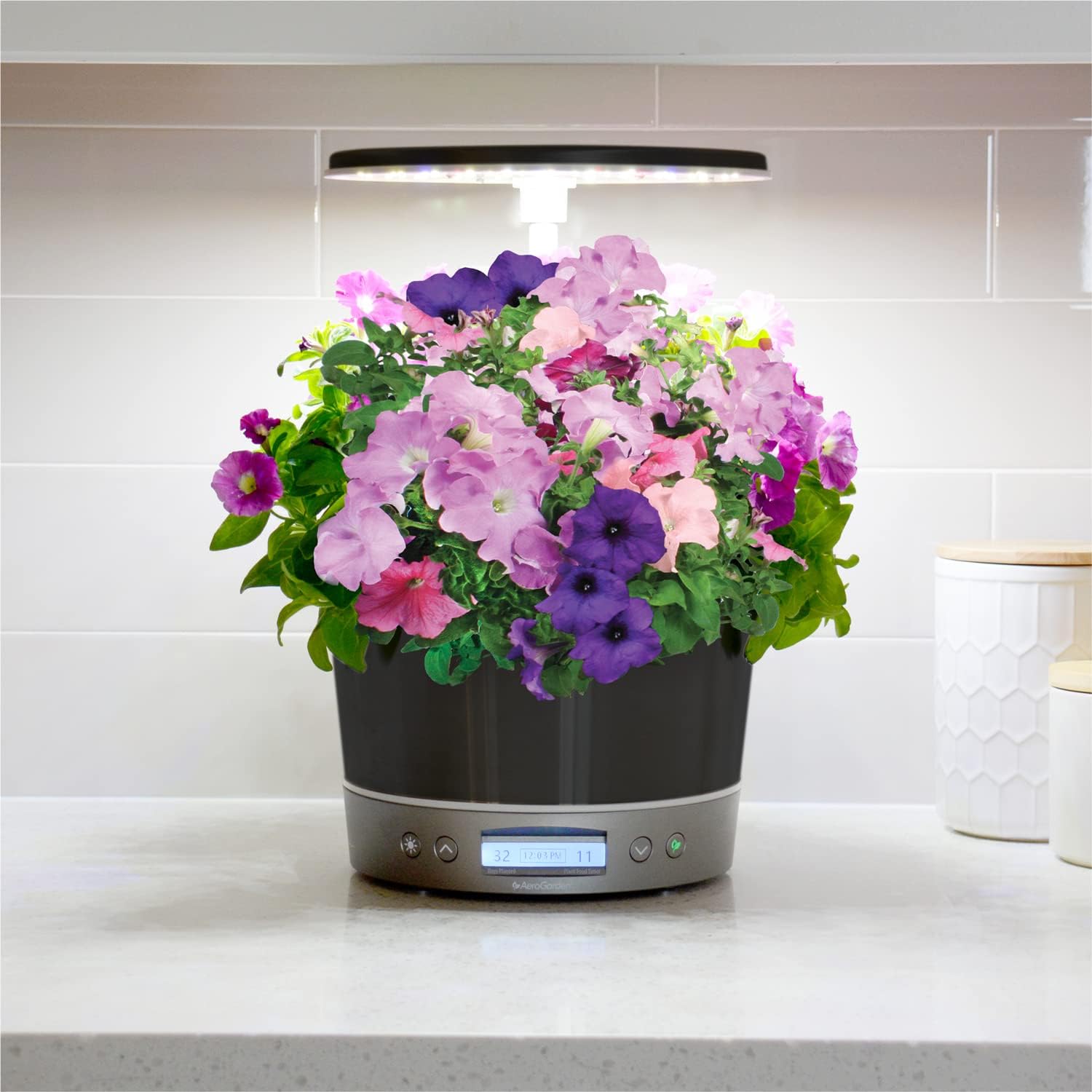 AeroGarden Harvest Elite 360, Platinum with Gourmet Herbs Seed Kit ...