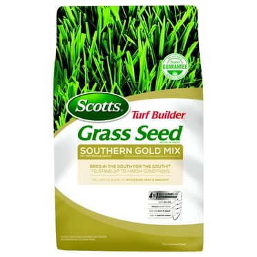 Scotts Turf Builder Tall Fescue Grass Sun or Shade Grass Seed 3 lb