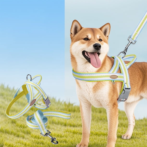 RKSTN Polyester Dog Leash Rope Width 1.5cm Dog Leash Blue