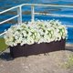 thumbnail image 4 of Flores artificiales Ivydale White Silk Morning Glory, 12 paquetes, 4 of 9
