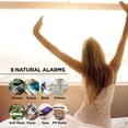 Merkury Innovations Renew Sunrise Simulation WakeUp Lamp and Clock