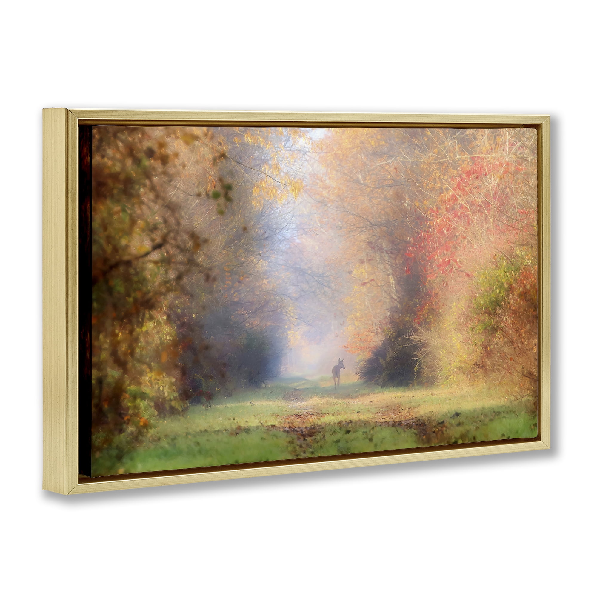 Stupell Industries Foggy Autumnal Forest Landscape & Nature Photography Gold Floater Framed Canvas Art Print Wall Art, 25 x 17