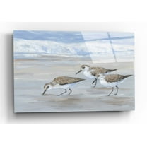 Epic Art 'Sandpipers II' by Tim O'Toole, Acrylic Glass Wall Art, 16"x12"