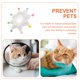 thumbnail image 3 of unbranded Collar Para Mascotas Anti Y Mordida Ideal Para Recuperación De, 3 of 6