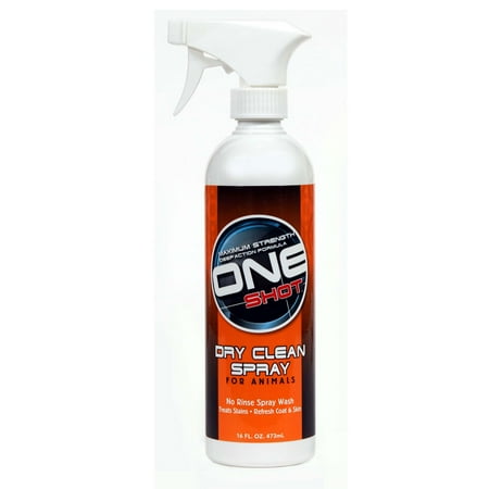 Best Shot One Shot Dry Clean Spray 16oz (Best Diy Spray In Bedliner)