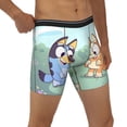 thumbnail image 4 of Lsque Bluey Pattern Men's Performance Stretch Underwear, Athletic Long Leg Briefs，Moisture-Wicking-Small, 4 of 6