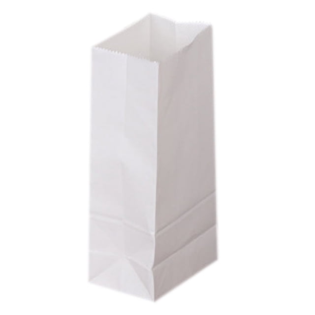 50 Count White Paper Bags For Packing Lunch & Snacks Blank White Lunch Bags Paper For Arts & Crafts Projects
