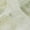 Aloe, variant on Addison Rugs Chantille Indoor/Outdoor Transitional Geometric Aloe Machine Washable Rectangle Rug, 10' x 14'