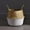 B, variant on Clearance! Zguuel Indoor Pots Planting Pots Handle with Handle Collapsible Straw Plaited Pushgrass Storage Basket Pot Basin Plaited Rattan Basket