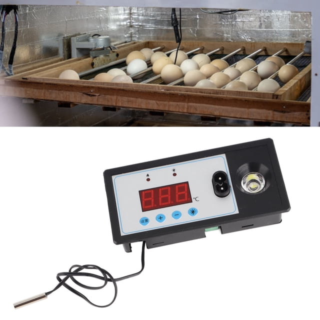 Termostato para Incubadora de Huevos ANGGREK Controlador de Temperatura 220V
