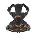 thumbnail image 4 of Lsque Mystical Golden Eye Dog Harness, No-Pull Pet Harness with 2 Leash Clips, Adjustable Soft Padded Dog Vest with Easy Control Handle for Large Dogs-Large, 4 of 9