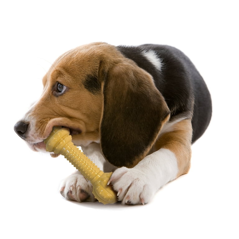 Nylabone DuraChew Barbell Peanut Butter Medium Dental Nylon Dog Chew Toy Walmart
