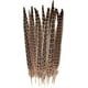 thumbnail image 1 of Fiudx Plumas de Cola de Faisán, Plumas Naturales Desprendidas, Higiénicamente Limpias, Ideales para Manualidades, Máscaras, Collares, Decoración Del Hogar, Bodas y Fiestas, 30-35 Cm, Paquete de 10, 1 of 1