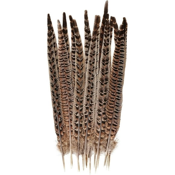 Fiudx Plumas de Cola de Faisán, Plumas Naturales Desprendidas, Higiénicamente Limpias, Ideales para Manualidades, Máscaras, Collares, Decoración Del Hogar, Bodas y Fiestas, 30-35 Cm, Paquete de 10