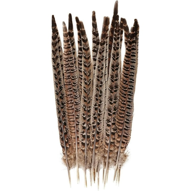 12 Pcs Plumes d'Oiseaux Volants Style Plumes Naturelles 30-35cm Plumes Naturelles pour Bricolage Décorations de Fête à la Maison Plumes Naturelles Col Rond Plumes de Faisan en Solde