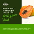 thumbnail image 6 of Swanson Papain Papaya Enzyme 100 mg 90 Veggie Capsules, 6 of 8