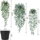 thumbnail image 2 of Plantas colgantes artificiales, paquete de 3 plantas colgantes falsas, plantas verdes en maceta falsas, enredadera de eucalipto de imitación, enredadera de mandala en maceta para decoración, 2 of 5