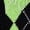 Green, variant on Levmjia Womens Lightweight Cardigan Sweater V Neck Long Sleeve Open Front Knit Cover Up Casual Loose Fit Thin Fall Spring Top With Pockets Multi Colors