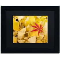 Trademark Fine Art "The Intruder" Canvas Art by Philippe Sainte-Laudy Black Matte, Black Frame