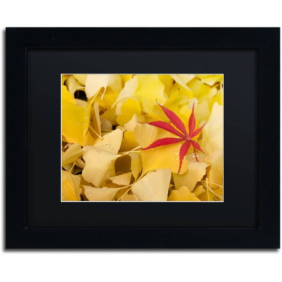 Trademark Fine Art "The Intruder" Canvas Art by Philippe Sainte-Laudy Black Matte, Black Frame