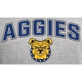 thumbnail image 2 of Men's Ash North Carolina A&T Aggies Proud Mascot Pullover Hoodie, 2 of 2