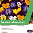 thumbnail image 4 of Harris Seeds - Viola Seeds - Penny Jump Up Mix F1 - Large Blooms Flowers - 500 Seeds, 4 of 5