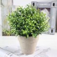 thumbnail image 4 of Coofit Artificial Potted Plant Decorative Artificial Greenery Plant for Home Office, 4 of 9