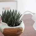 thumbnail image 3 of Starlight-watering Can Water Bottle Plastic Safety Squeeze Watering Bottle Squeeze Watering Bottle For Succulent Plants Bonsai Indoor Artificial Plant, 3 of 4