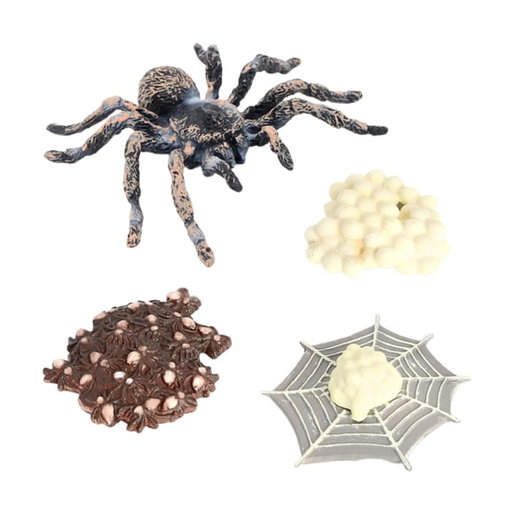 de 4 Juguetes de Enseñanza de Aprendizaje de La Educación Infantil Del Ciclo de de de Whiteknee de La Naturaleza, Re Zulema Juego de crecimiento de insectos para niños
