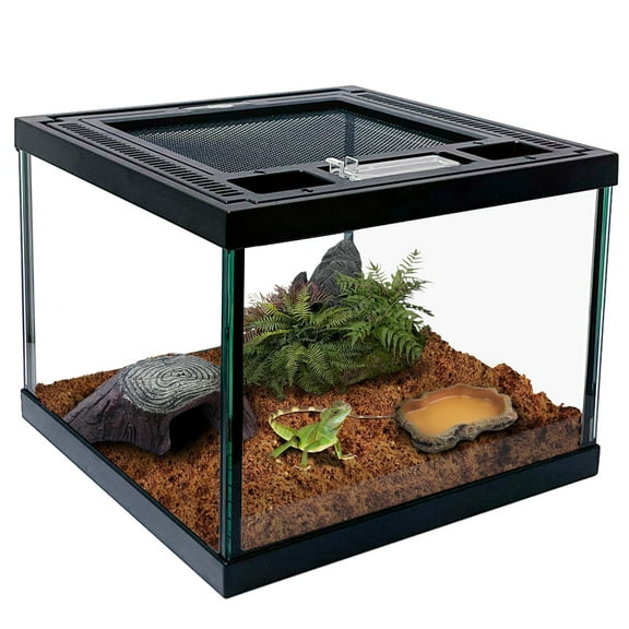 Mini Reptile Glass Terrarium Tank 8 * 8 * 6" Full View, Amphibians Box Habitat Enclosure Cage for Frog,Spiders,Dubia Cockroach,Praying Mantis,Cricket,Tarantula,Hermit Crab