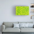 thumbnail image 3 of Stessi 'Abstract 46' Canvas Art, 3 of 4