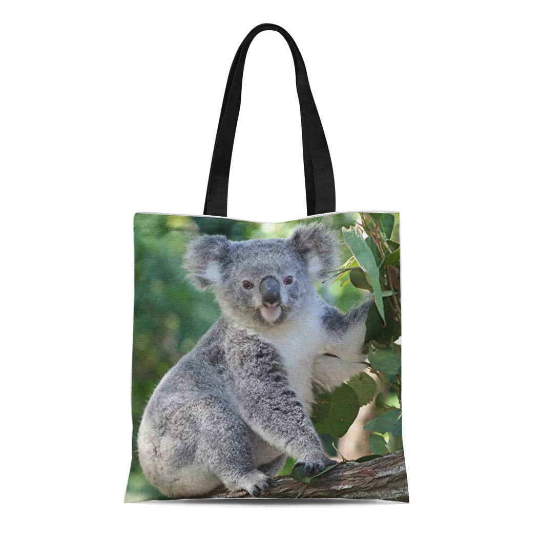 Australian Koala  Black Large Messenger School Bag 
