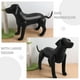 thumbnail image 4 of unbranded 2Ud Mannequín De Perro Para Tienda De Mascotas PVC Con, 4 of 7
