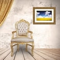 thumbnail image 3 of Hamiti, Bess 18x13 Gold Ornate Wood Framed with Double Matting Museum Art Print Titled - Canola Meadow, 3 of 4