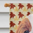 thumbnail image 3 of Carolines Treasures SC9232CHF 40 x 40 In. Cavalier Spaniel Fall Leaves Portrait Flag Canvas- House Size, 3 of 4