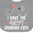 thumbnail image 4 of Inktastic Grandchild Best Grandma Ever Boys or Girls Baby Bib, 4 of 4