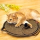 thumbnail image 5 of Xihbxyly Rascador Tejido para Mascotas, Juguete Interactivo con Resorte, Cuerda de Sisal, Protector de Muebles, Juego de Interior para Gatos, Divertido Tapete para Garras, 40 X 40 X 2 Cm, 5 of 7