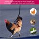 thumbnail image 2 of Arnés de pollo ajustable con correa - Cómodo chaleco de malla transpirable oso de fresa Hogar, 2 of 3