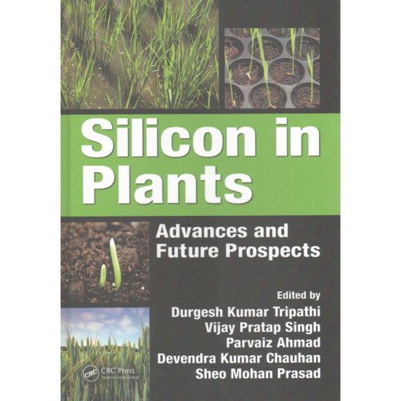 Pre-Owned Silicon in Plants: Advances and Future Prospects (Hardcover)