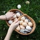 thumbnail image 5 of Cesta de almacenamiento tejida, contenedores para macetas, caja de cesta de almacenamiento hecha a mano, cesta de dulces de Pascua, cesta de Picnic,, 5 of 9