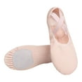 thumbnail image 3 of LJNYFDC Chaussures de Danse Douces pour Tout-Petits Chaussures de Ballet pour Filles Tissu Extensible Doux Respirant Léger Résistant à l'Usure Chaussons pour Tout-Petits, 3 of 7