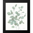 thumbnail image 2 of Nai, Danhui 12x14 Black Modern Framed Museum Art Print Titled - Transparent Leaves Eucalyptus, 2 of 5