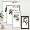thumbnail image 5 of Ancient American Flora II 16 in x 32 in Framed Painting Canvas Art Print, by Designart, 5 of 5